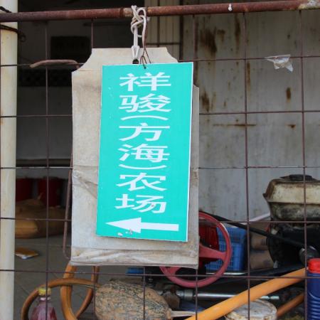 检示大图