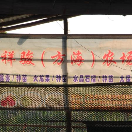 检示大图