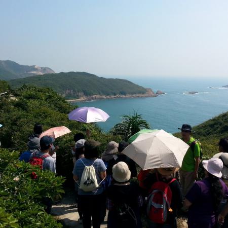 檢示大圖