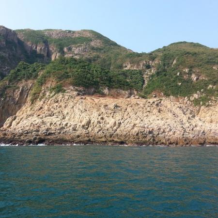 檢示大圖