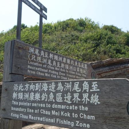 检示大图