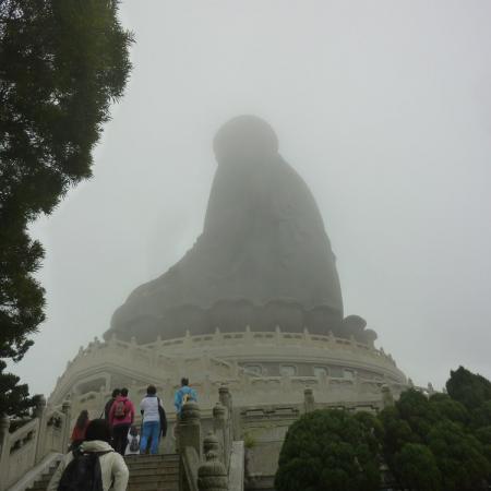 检示大图