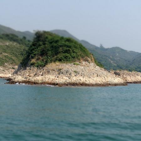 檢示大圖
