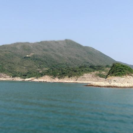 檢示大圖