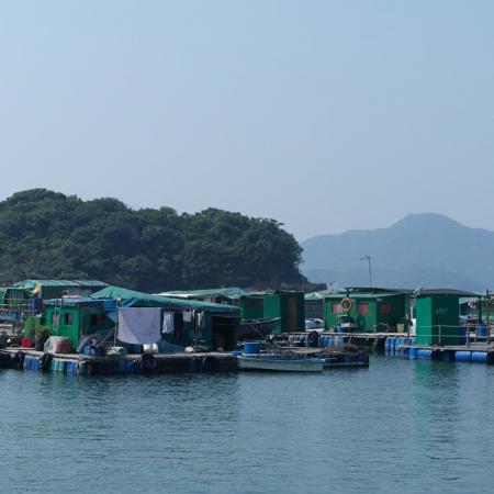檢示大圖