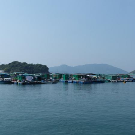 檢示大圖