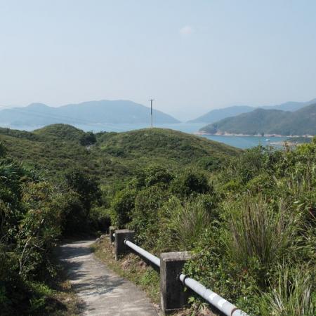检示大图